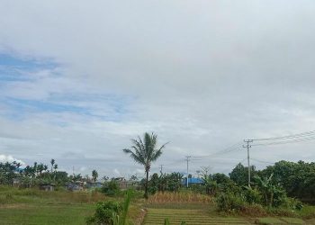 Perubahan Cuaca Mimika Hari Ini: Pagi Berawan, Seluruh Wilayah Berpotensi Hujan Ringan