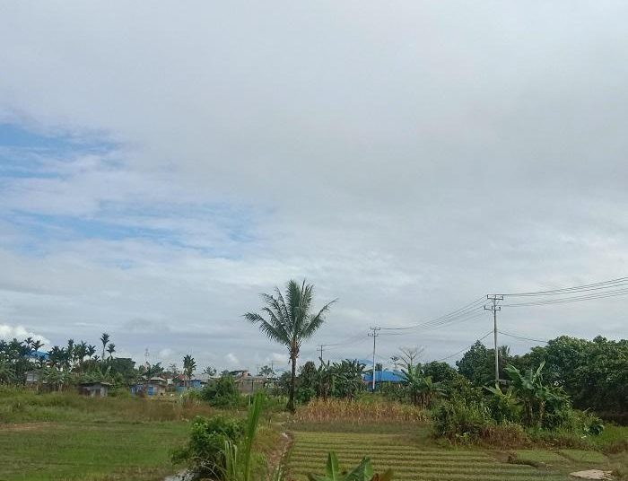 Perubahan Cuaca Mimika Hari Ini: Pagi Berawan, Seluruh Wilayah Berpotensi Hujan Ringan