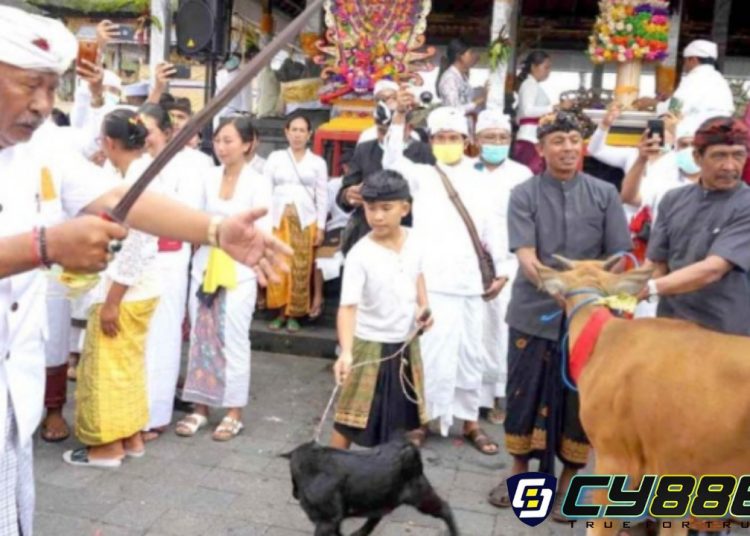 Persiapan Karya Ida Bhatara 2026 di Pura Agung Besakih, Lihat Jadwalnya