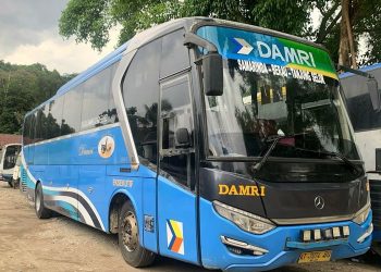Lihat tarif dan jadwal Damri Tanjung Selor hari ini 15 Maret 2026