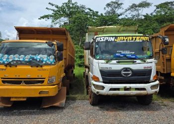 Kadin Sultra Jadi Tersangka Tambang