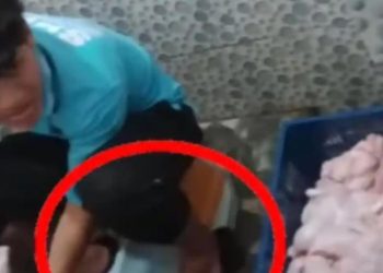 Heboh Ayam Menu MBG Dibuang di Kamar Mandi Masjid, Alasan Kepala Dapur Jadi Sorotan