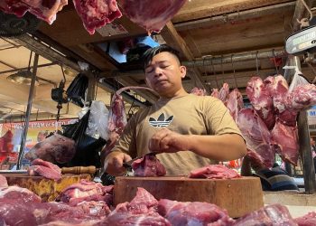 Kata Wamentan tentang Kenaikan Harga Pangan Jelang Lebaran 2026