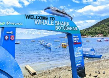 Objek Wisata Hiuj Paus Gorontalo Ramai Pengunjung Jelang Rukyatul Hilal Idulfitri 1 Syawal