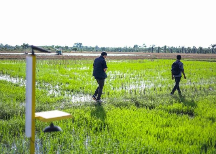 Wamen Sudaryono: Revitalisasi Irigasi Tingkatkan Produksi Pangan