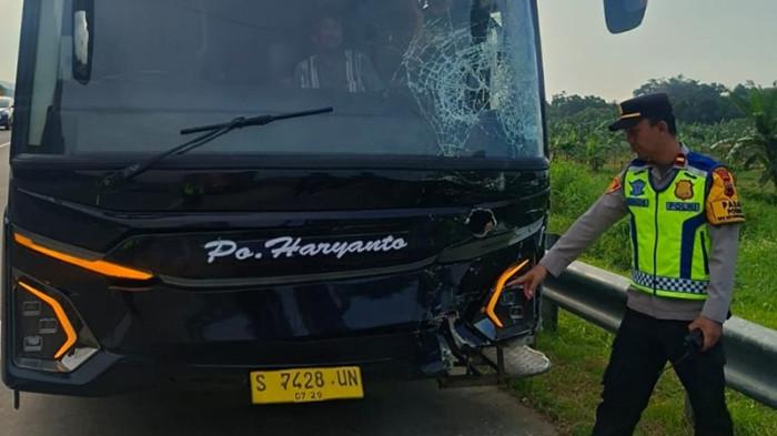 Gede Pasek Desak Pemilik Bus Haryanto Tanggung Jawab Pasca Kecelakaan Beruntun di Tol Batang