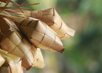 Apakah Membungkus Ketupat dan Lontong dengan Plastik Aman?