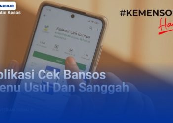 Apa Itu Desil 1 Sampai 5? Cara Cek Desil KK di CekBansos dan DTSen
