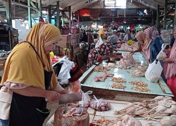 Kekurangan Stok Daging di Sorong: Pedagang Kewalahan Hadapi Persaingan Online