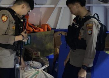 Polisi Gagalkan Penyelundupan Ratusan Tikus di Pelabuhan Dufa-Dufa Ternate