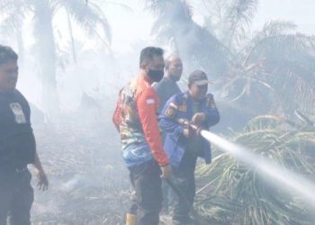 Solar tumpah, petugas Damkarmat kewalahan padamkan api di gudang BBM ilegal